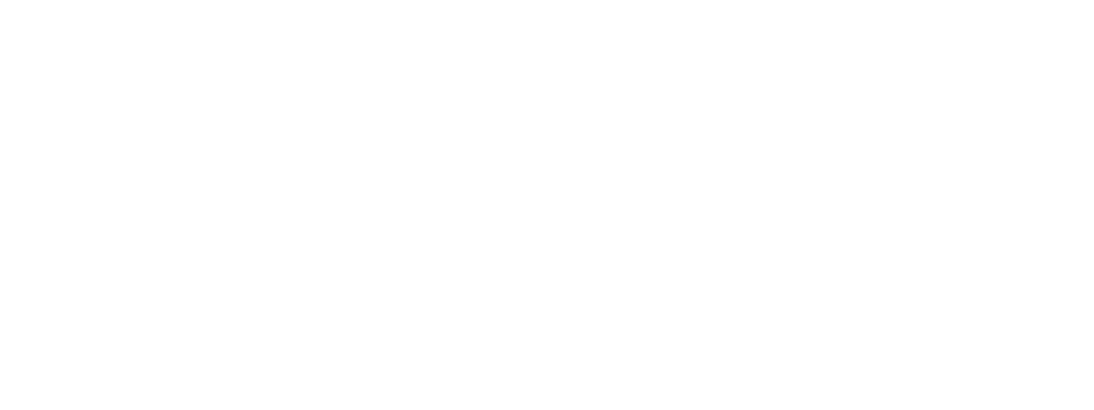 Customer Review 1