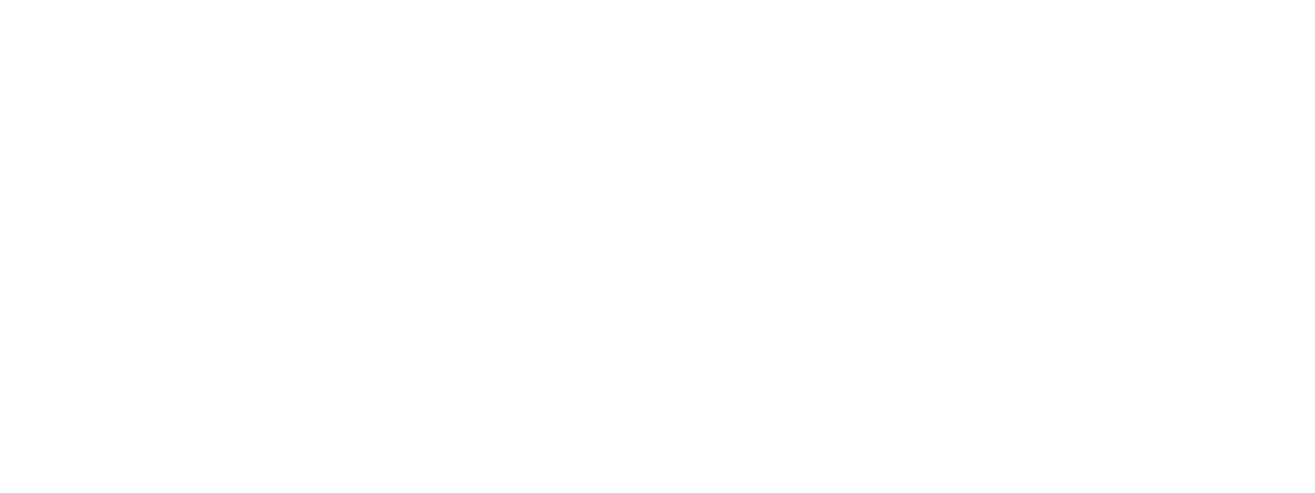 Customer Review 2