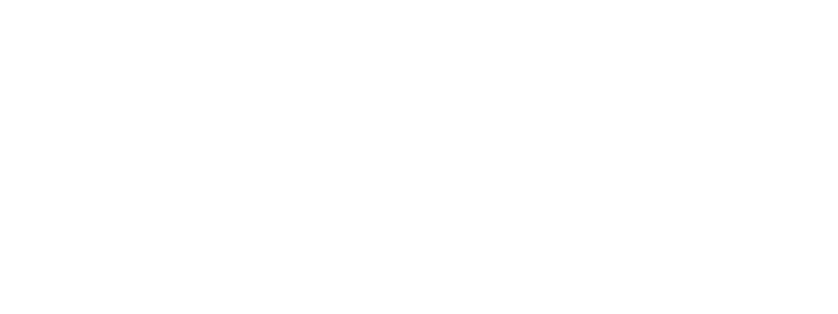 Customer Review 3